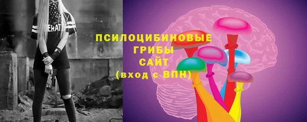 кокс Арсеньев