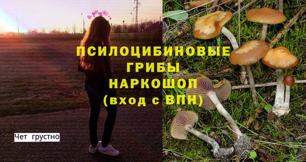 кокс Арсеньев