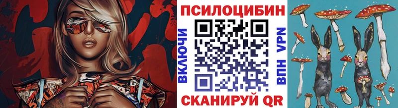 Псилоцибиновые грибы мухоморы закладки Жиздра