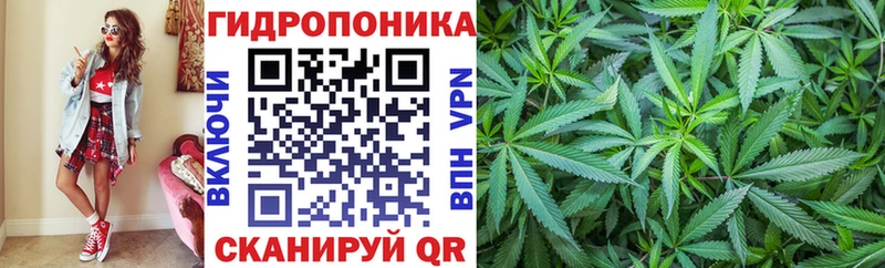 купить наркотик Жиздра Бошки марихуана Amnesia